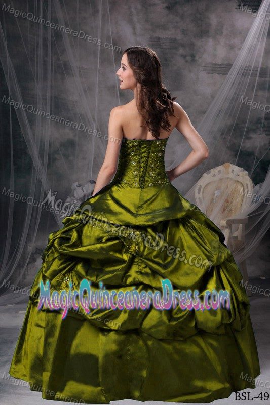 Upscale Taffeta Appliqued Olive Green Quince Dress with Flowers and Pick-ups