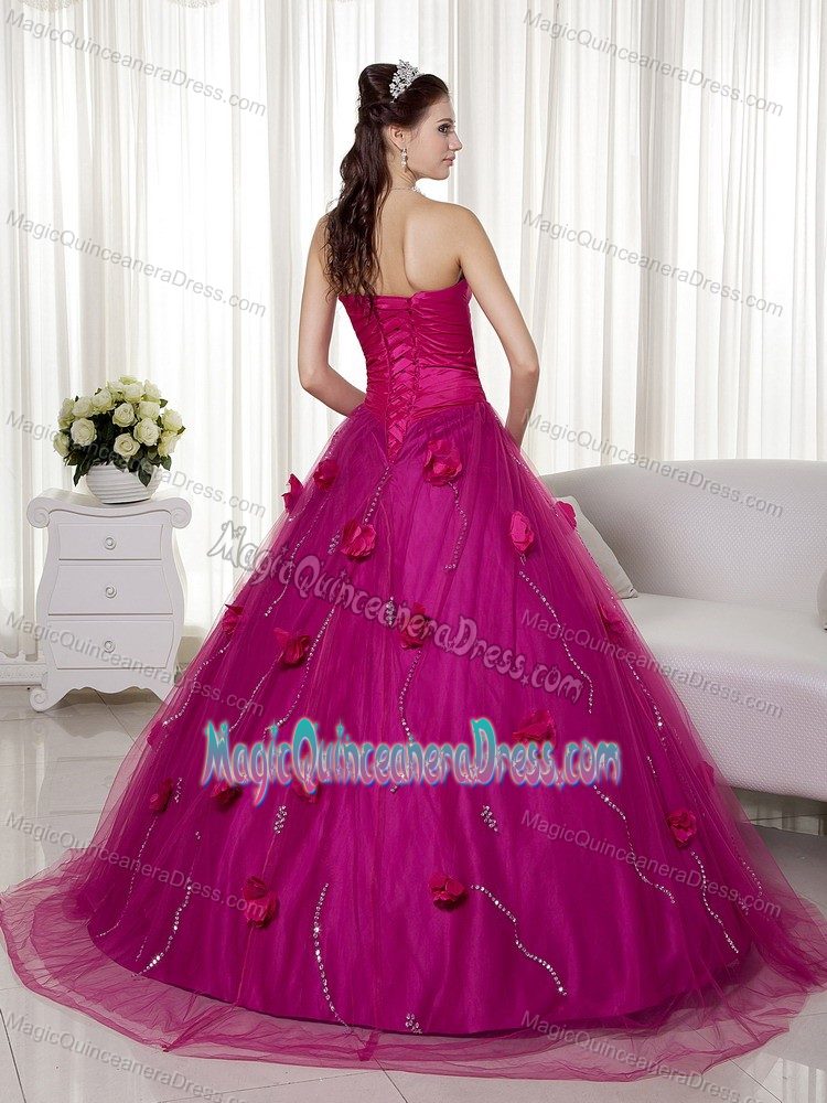 Most Popular Fuchsia A-line Quinceanera Gown with Floral Embellishment