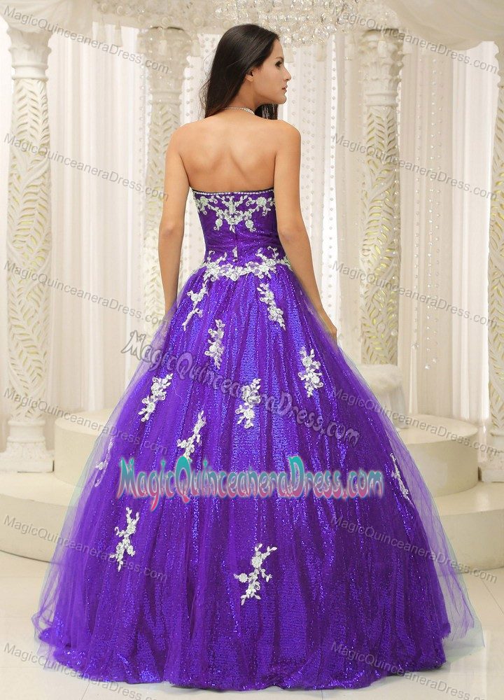 Recommended A-line Purple Quinceanera Dresses with White Appliques