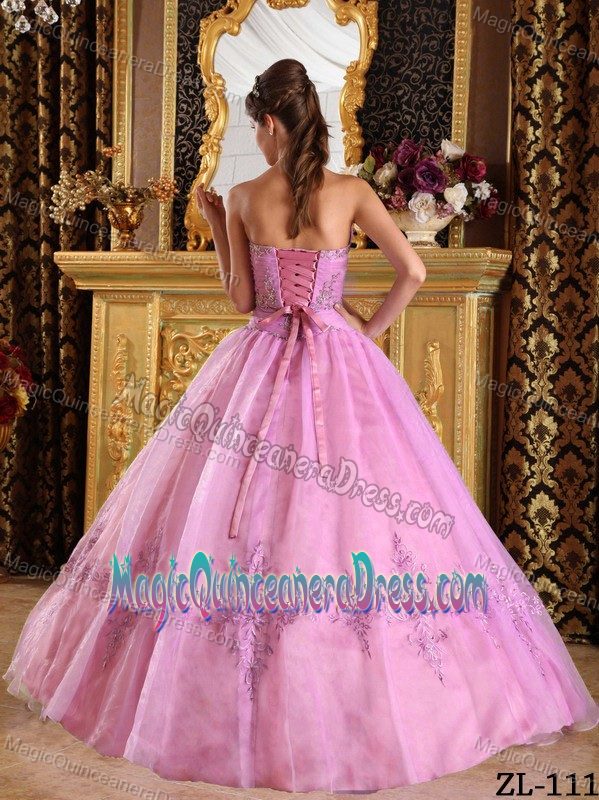 2013 High-class Appliqued Pink Floor-length Quince Dresses Ball Gown