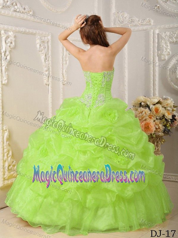 Beaded Ruffled Yellow Green Quinceaneras Dress in Pozo Almonte Chile