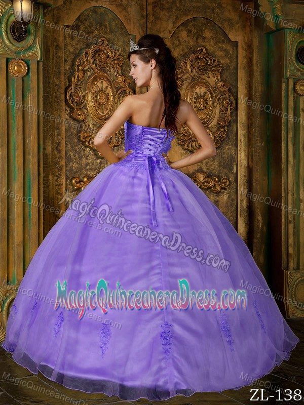 Beautiful Appliqued Strapless Princess Sweet Sixteen Quinceanera Dresses in Brazoria