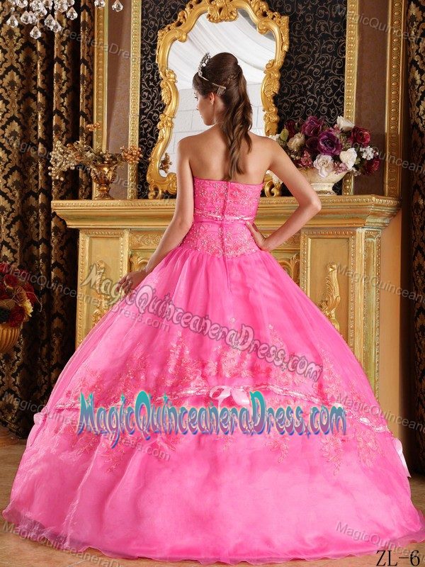 Rose Pink Strapless Floor-length Dresses for Quinceanera with Appliques in Briarcliff