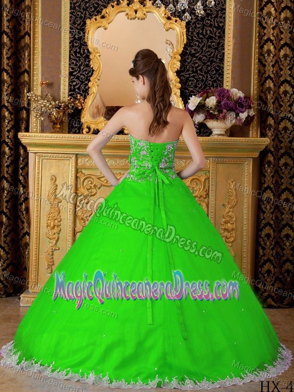 Spring Green Strapless Princess Sweet Sixteen Dresses with Appliques in Breckenridge