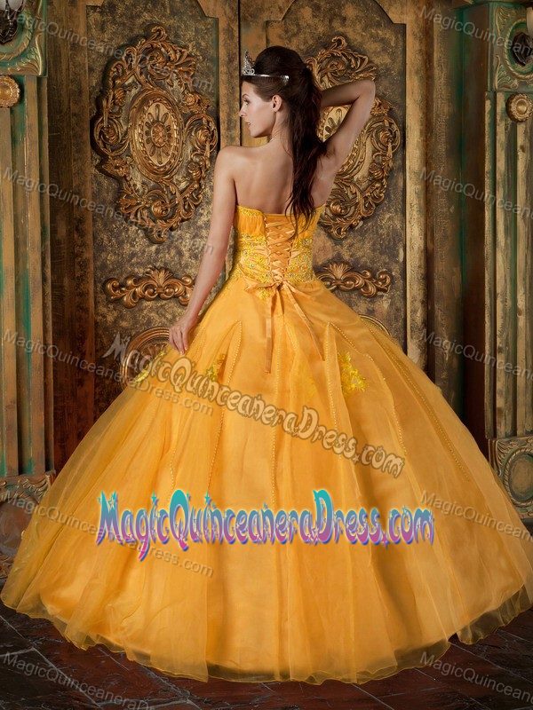 Hot Sweetheart Floor-length Organza Quinceanera Gowns in Orange with Appliques