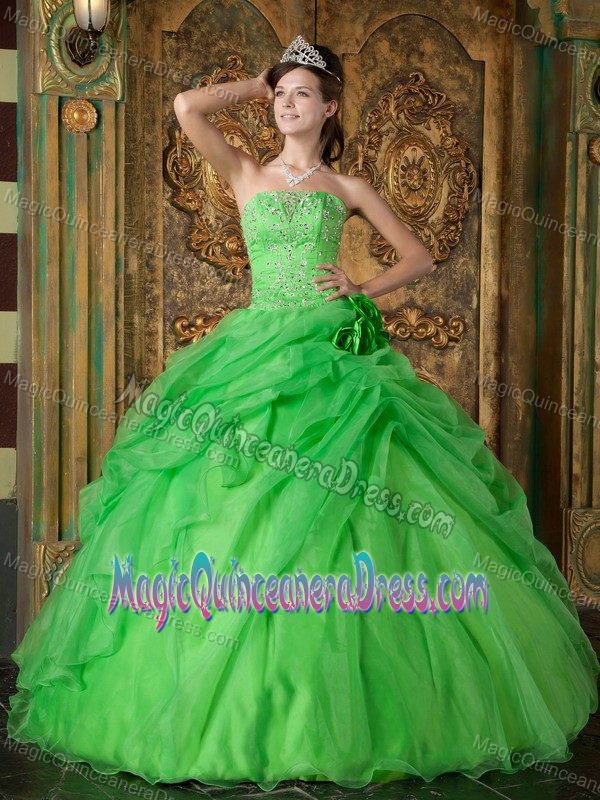 Strapless Princess Green Sweet Sixteen Quinceanera Dress with Flower and Pick-ups