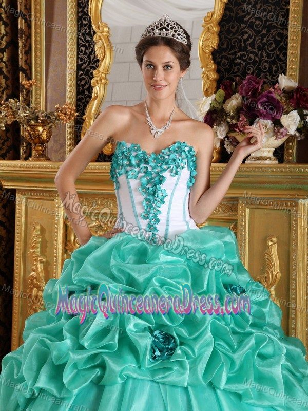 Sweetheart Quinceanera Gown Dresses with Appliques and Pick-ups in Apple Green