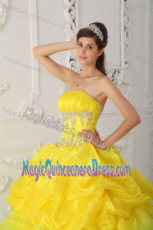 Chic Ruffled Strapless Princess Quinceanera Gown Dress in Yellow with Appliques