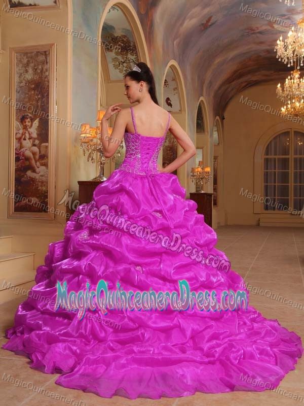 New Spaghetti Straps Sweet Sixteen Dresses in Fuchsia with Embroidery and Pick-ups