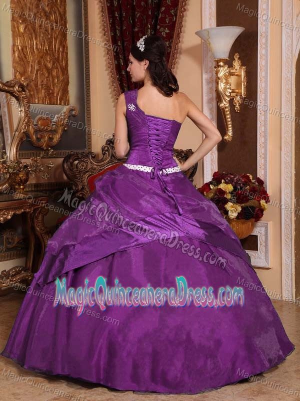 Purple One Shoulder Floor-length Quinceanera Gown Dress with Flower in Chester