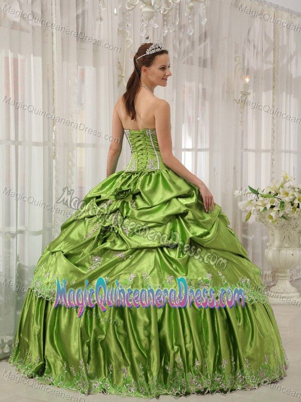 Strapless Floor-length Quinceanera Gown Dress in Green with Appliques in Cabazon