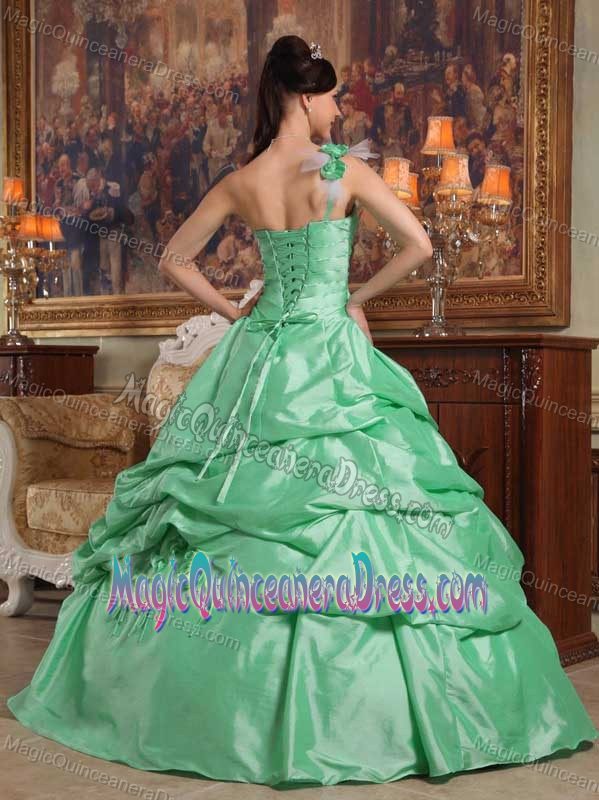 Apple Green One Shoulder Princess Sweet Sixteen Dresses with Pick-ups in Adelanto