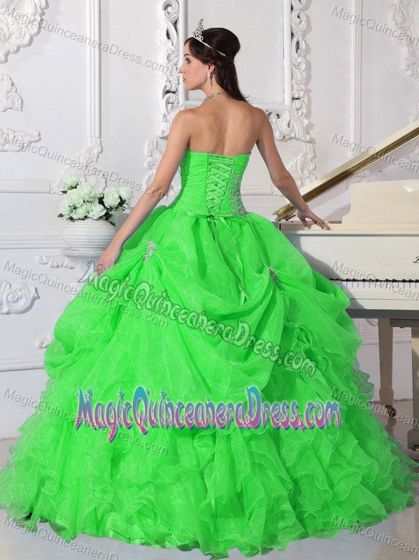 Strapless Princess Dress for Quinceanera in Spring Green with Appliques in Decatur