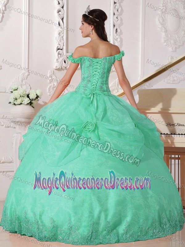 Off the Shoulder Appliqued Hand Flowery Quinceanera Dress in Apple Green