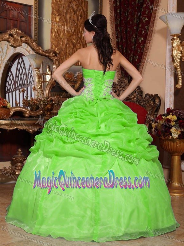 Spring Green Organza Quinceanera Dress with Appliques and Pick-ups in Bend