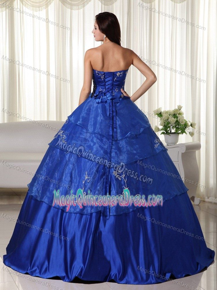 Strapless Organza Embroidered Quinceanera Dress in Royal Blue in Katy