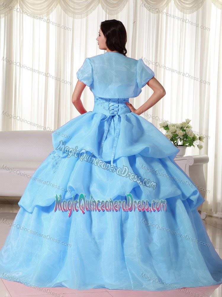Baby Blue Strapless Organza Hand Flowery Quinceanera Gown Dress in Denton