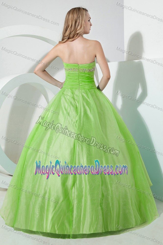 Spring Green Strapless Organza Beaded Quinceanera Dress with Embroidery in Garland