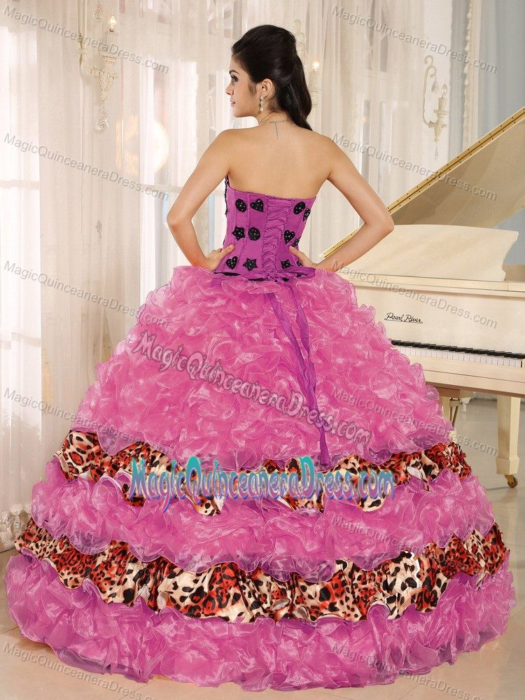 Hot Pink Ruffled Appliqued Sweetheart Leopard Quinceanera Dress in Greenville