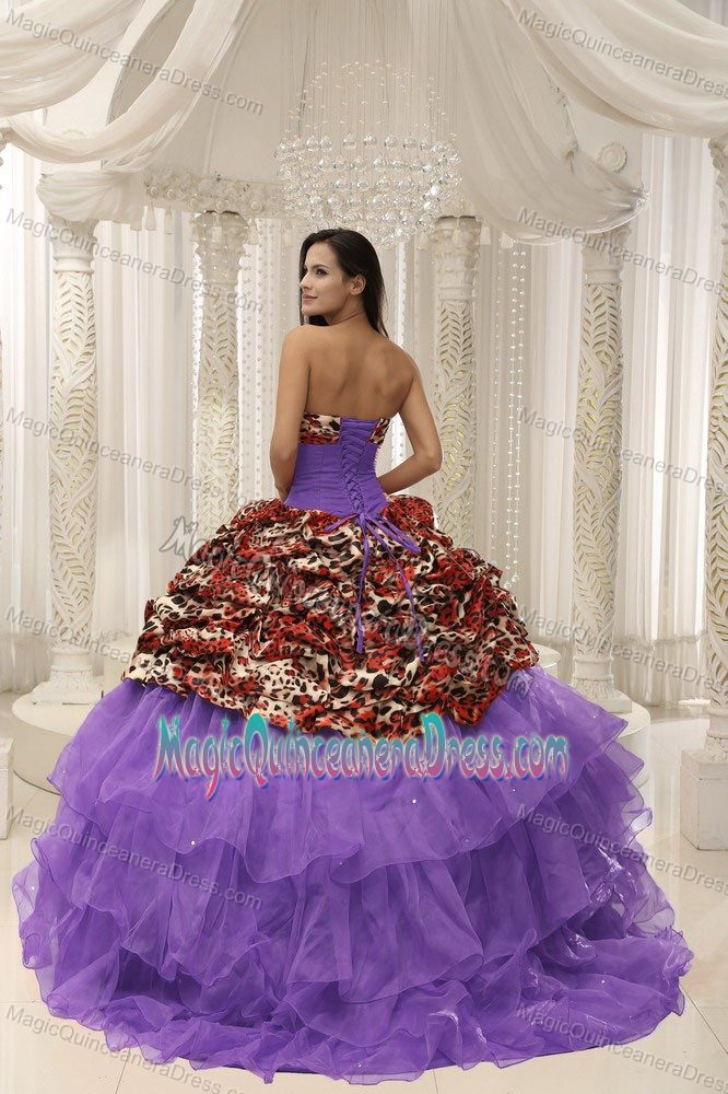 Organza Leopard Quinceanera Gown Dresses with Beading in Longview TX