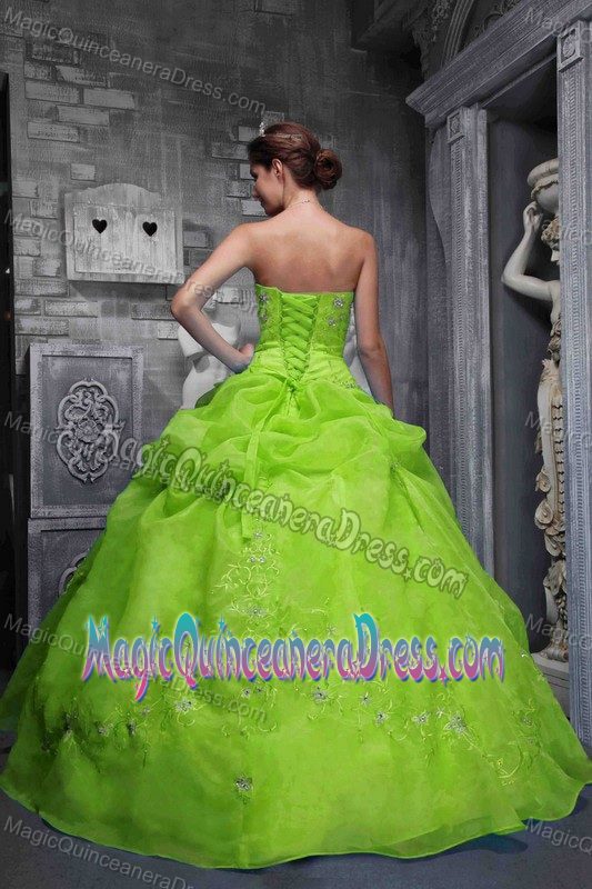 Strapless Spring Green Quinceanera Dress with Appliques in College Station