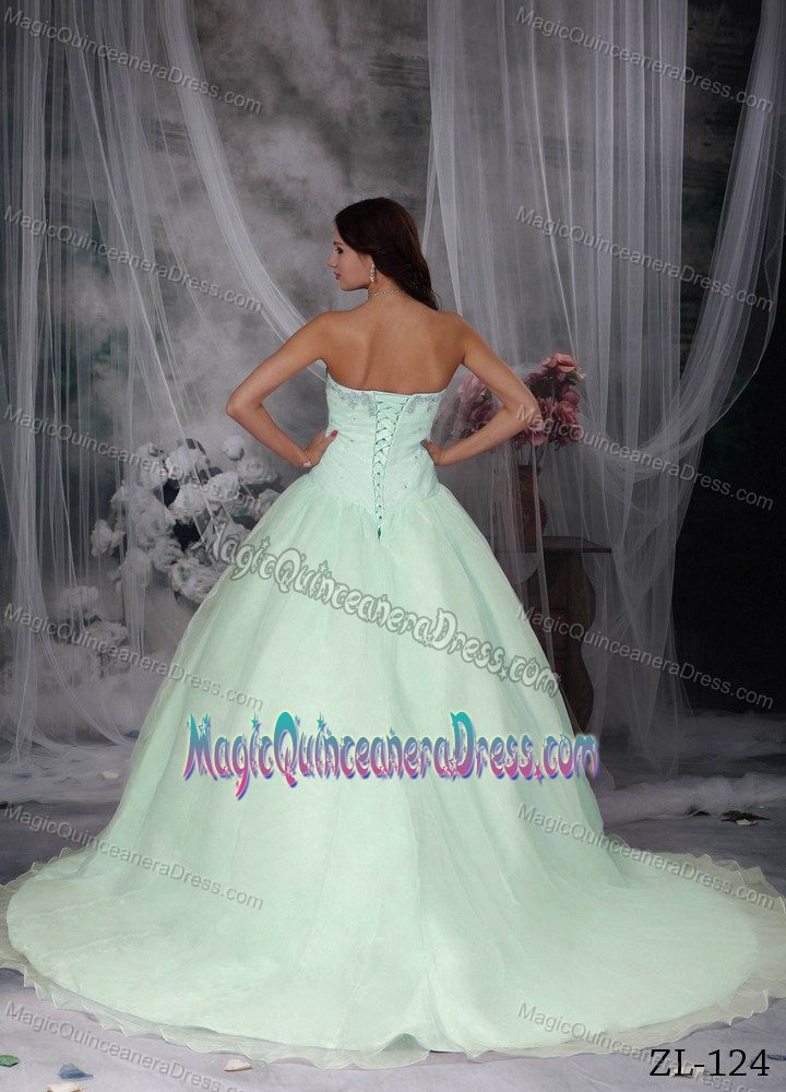 Appliqued Hand Flowery Dress For Quinceanera with Chapel Train in Nashville