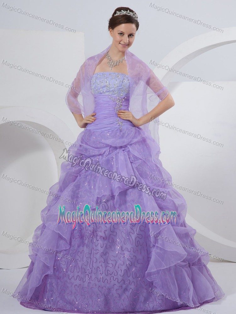 Lavender Strapless Quinceanera Dress with Appliques and Pick-ups in Whyalla