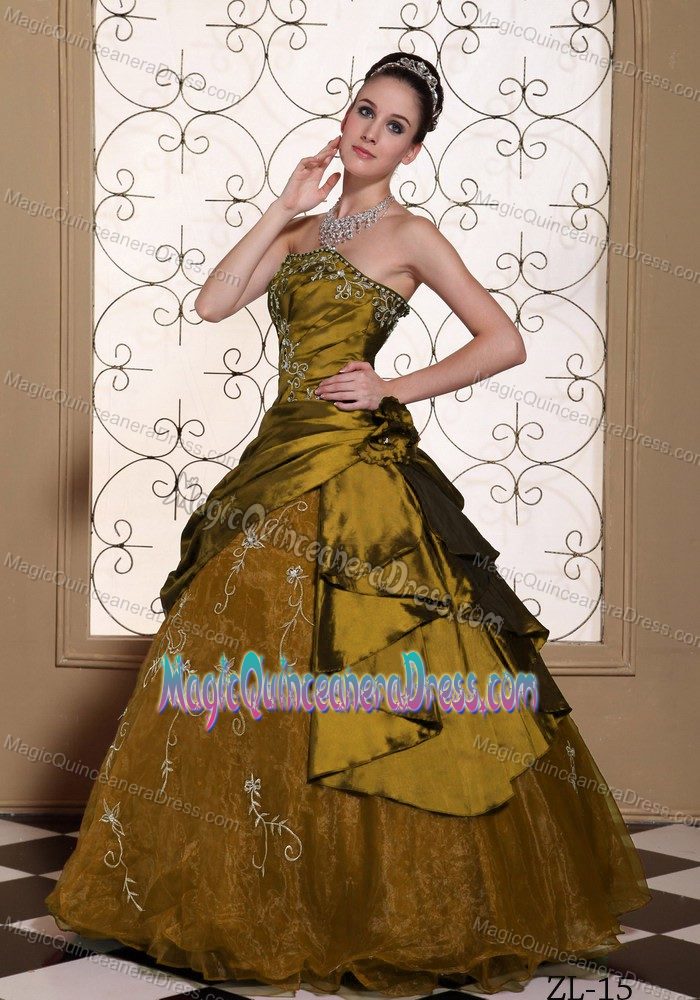 Special Brown Full-length Quinceaneras Dresses with Embroidery in Nashua