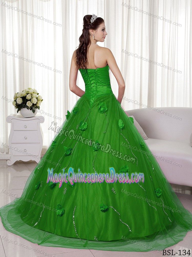 Special Sweetheart Green Brush Train Quinces Dress with Flowers in Taos
