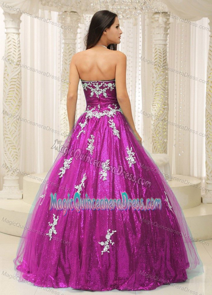 Elegant Strapless Fuchsia Long Quinceanera Gowns with Appliques in Addison