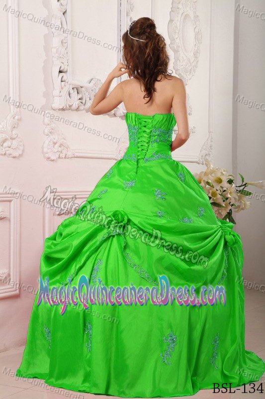 Spring Green Strapless Long Dresses for Quince with Applique and Flower