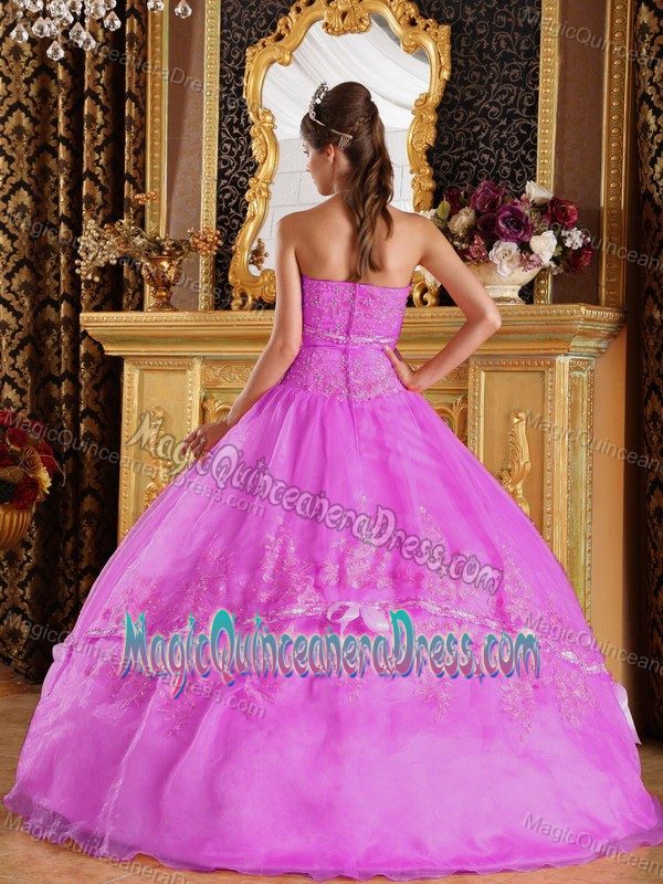 Rose Pink Strapless Floor-length Quinces Dresses with Appliques in Denton