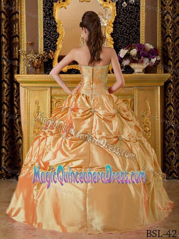 Gold Halter Full-length Quince Dress with Pick-ups and Appliques in Duluth