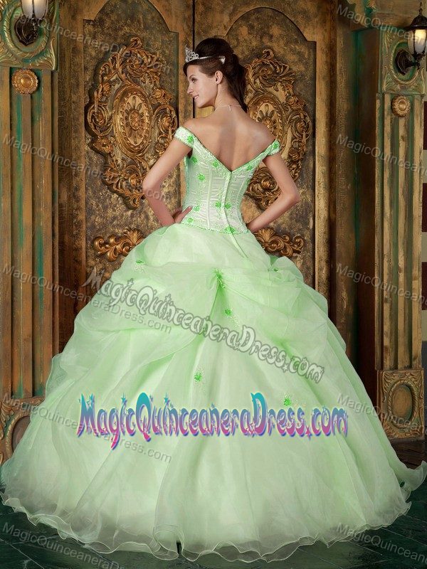 Off The Shoulder Light Green Long Quince Dresses with Appliques in Kent