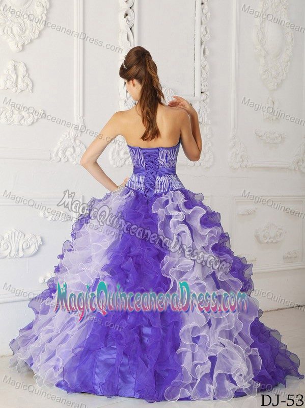 Multi-Colored and Zebra Sweetheart Quinceanera Dresses with Ruffles in Prestatyn