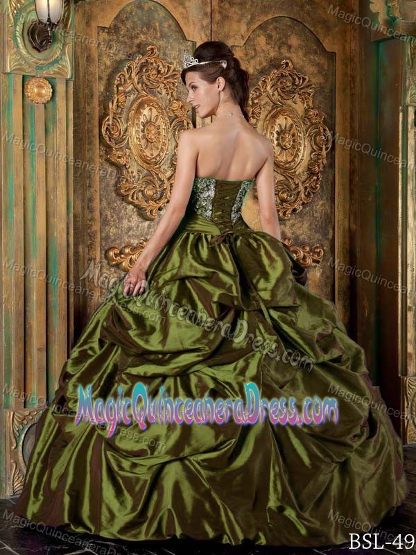 Olive Green Embroidered Dress for Quinceanera with Pick-ups in Monkstown