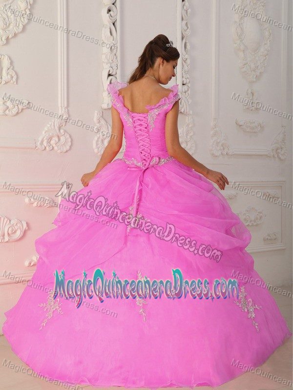 Appliqued Floor-Length Sweet 15 Dress with Pick-up and Cool Neckline in Blainville