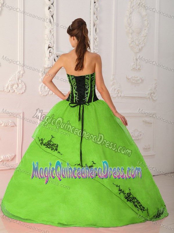 Strapless Floor-Length Appliqued Quinceanera Dress in Green with Flower in Nantes