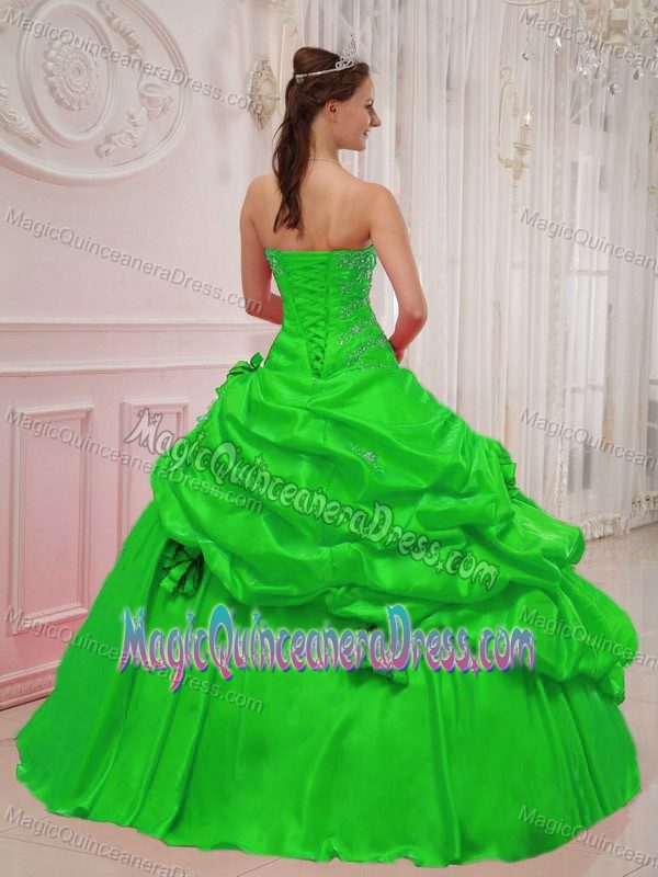 Spring Green Sweetheart Dress for Quinceanera with Pick-ups and Flowers in Brest