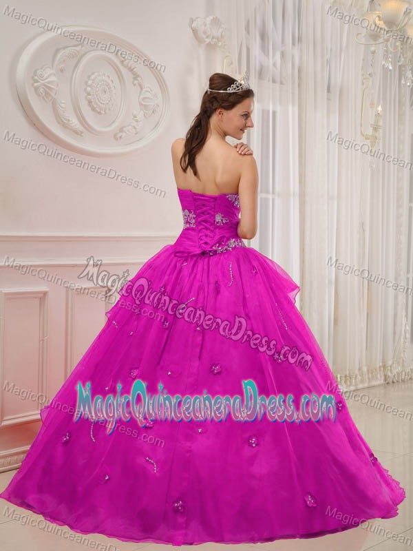 Strapless Floor-length Taffeta Quince Dress in Fuchsia with Appliques in Harlan