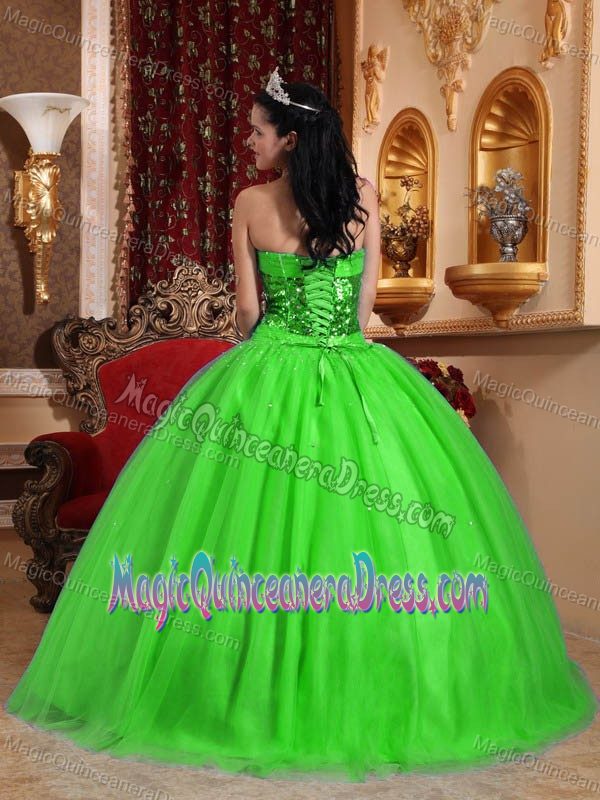 Sweetheart Floor-length Spring Green Quince Dresses with Appliques and Sequins