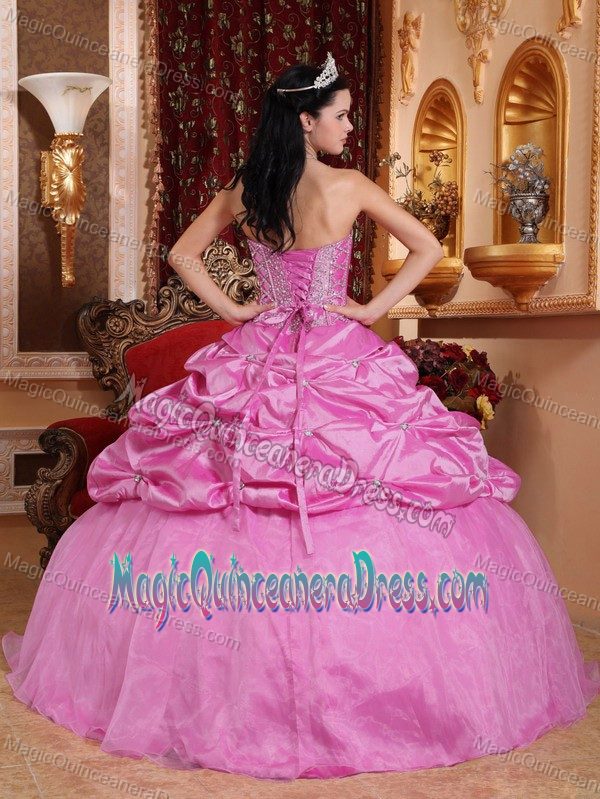 Pink Sweetheart Floor-length Sweet Sixteen Quinceanera Dresses with Pick-ups