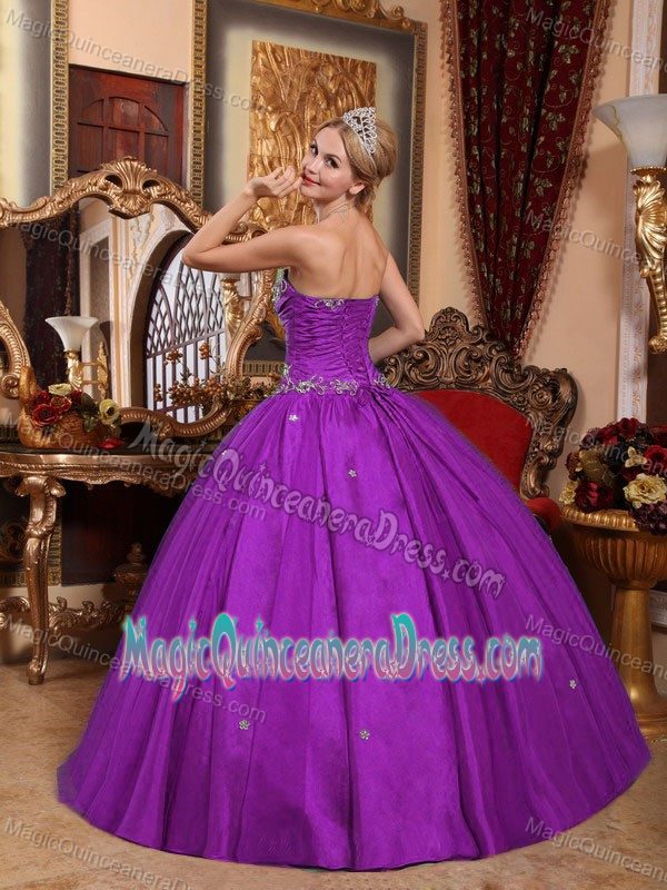 Strapless Floor-length Quinceanera Dresses in Eggplant Purple with Embroidery