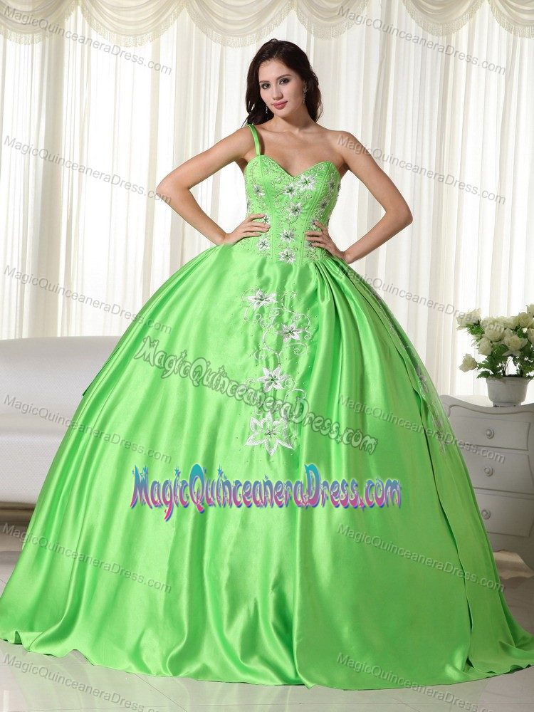 Off the Shoulder Floor-length Sweet Sixteen Dresses with Appliques in Hudson