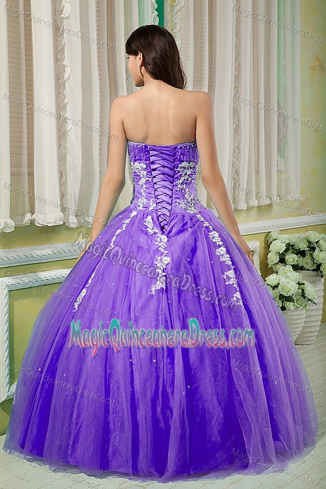 Purple Sweetheart Floor-length Quinceanera Gown with Appliques in Castana
