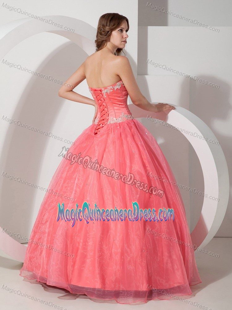 Huntsville AL Appliqued Watermelon Quinceanera Gown Dress Cheap