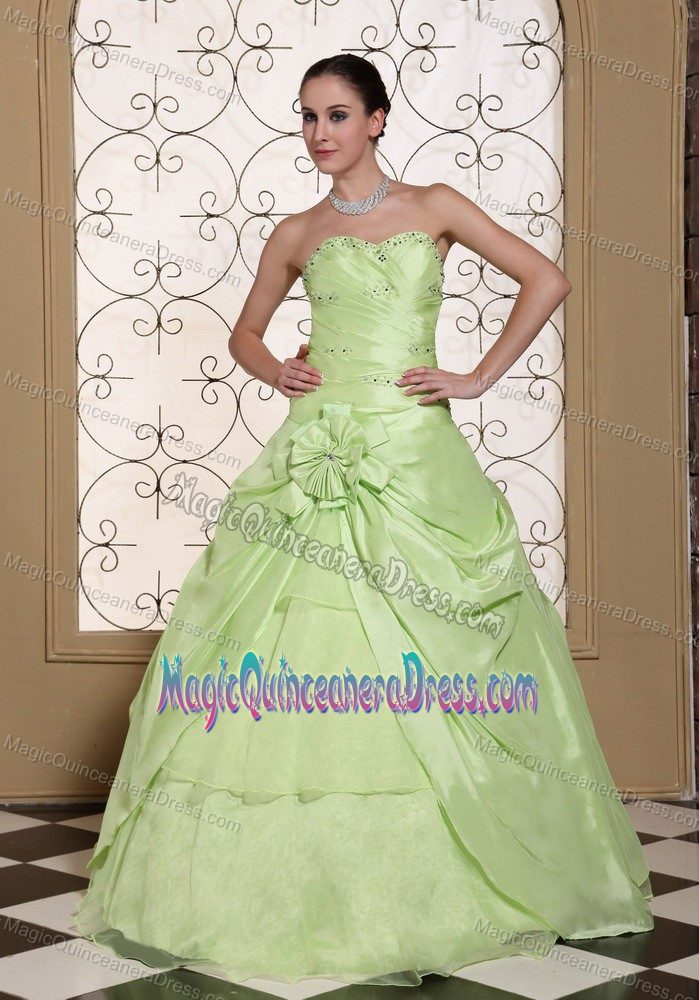 Discount Yellow Green Quinceaneras Dress with Flower in Warnes Bolivia