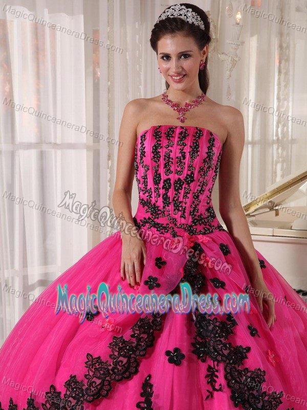 2013 Stylish Hot Pink Quinceanera Gown Dresses with Black Appliques