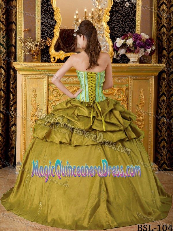 High End Appliqued Olive Green and Apple Green Quince Dress Clearance