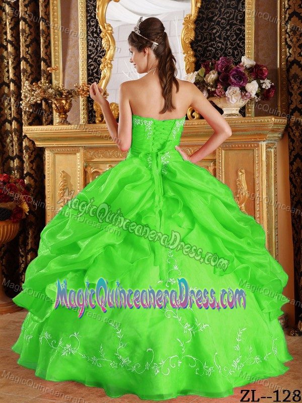 Fast Shipping Strapless Pick-ups Spring Green Quince Dresses in Troy USA